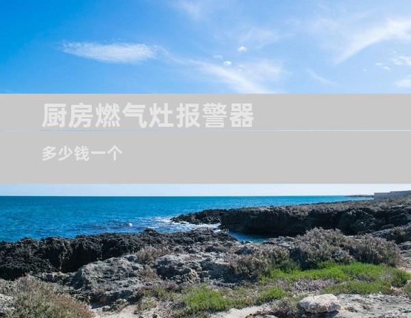 厨房燃气灶报警器多少钱一个