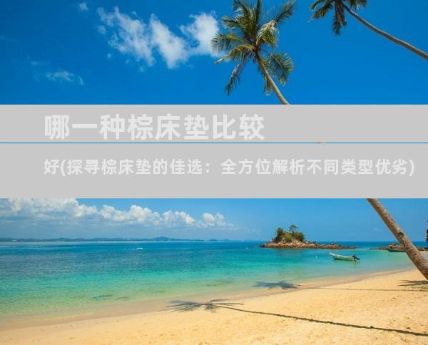 哪一种棕床垫比较好(探寻棕床垫的佳选：全方位解析不同类型优劣)