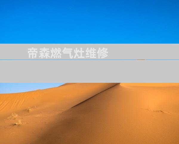 帝森燃气灶维修