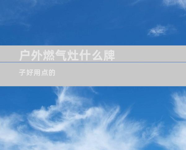 户外燃气灶什么牌子好用点的