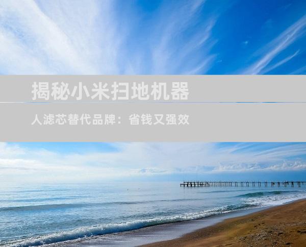 揭秘小米扫地机器人滤芯替代品牌：省钱又强效