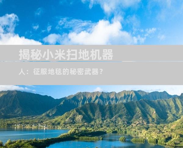 揭秘小米扫地机器人：征服地毯的秘密武器？