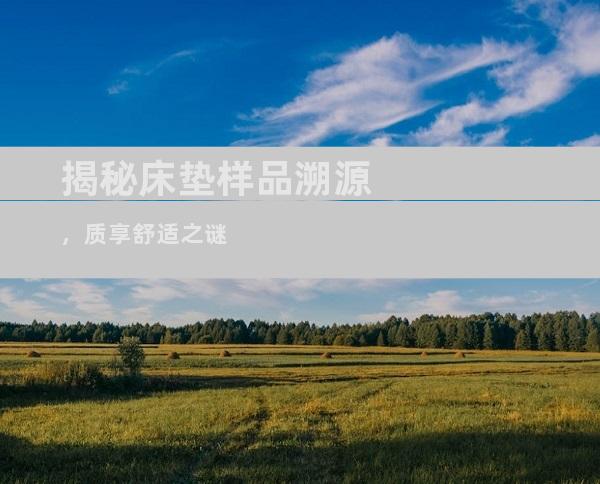 揭秘床垫样品溯源，质享舒适之谜
