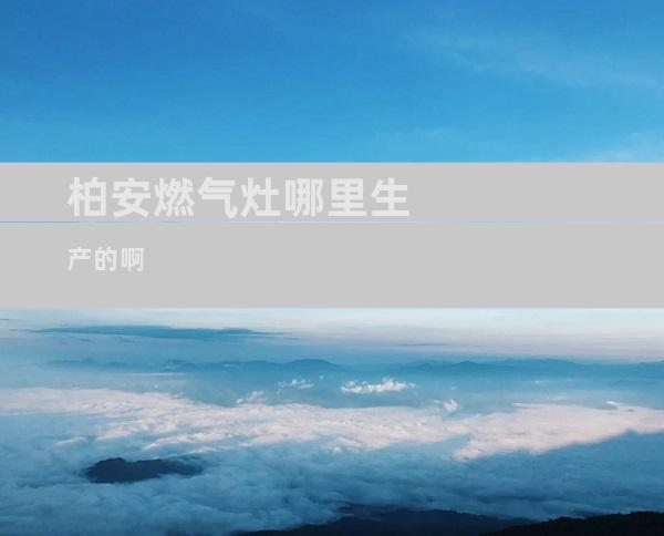 柏安燃气灶哪里生产的啊