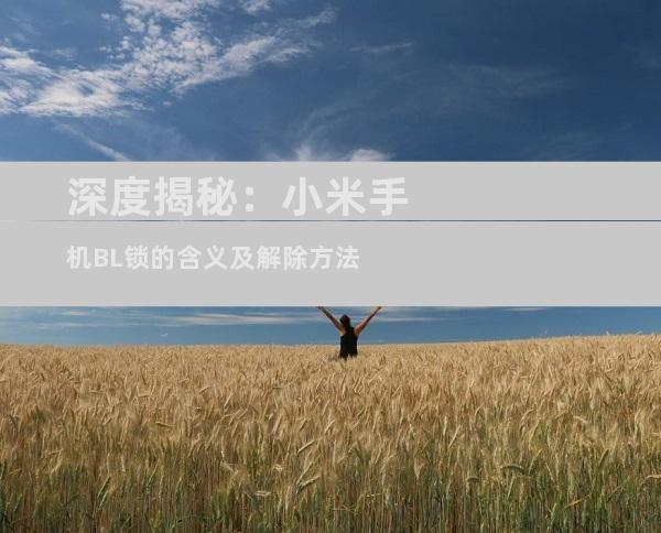 深度揭秘：小米手机BL锁的含义及解除方法