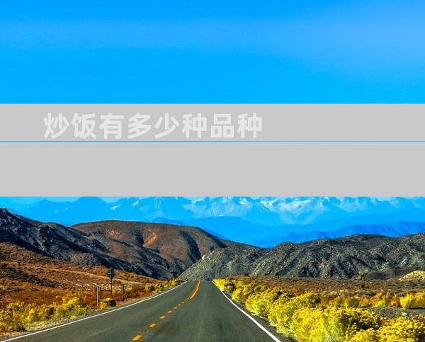 炒饭有多少种品种