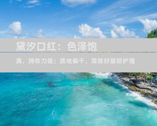 黛汐口红：色泽饱满，持妆力强；质地偏干，需做好唇部护理
